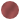 Terra Rot